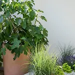 Haus Sibylle 3*