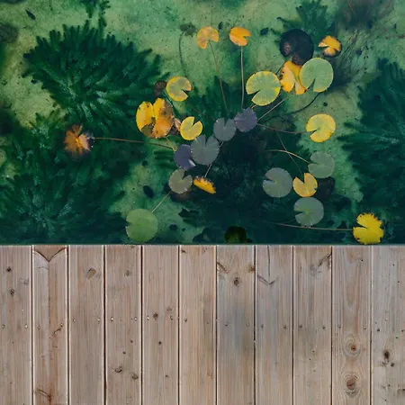 Haus Sibylle Отель Бад-Тольц